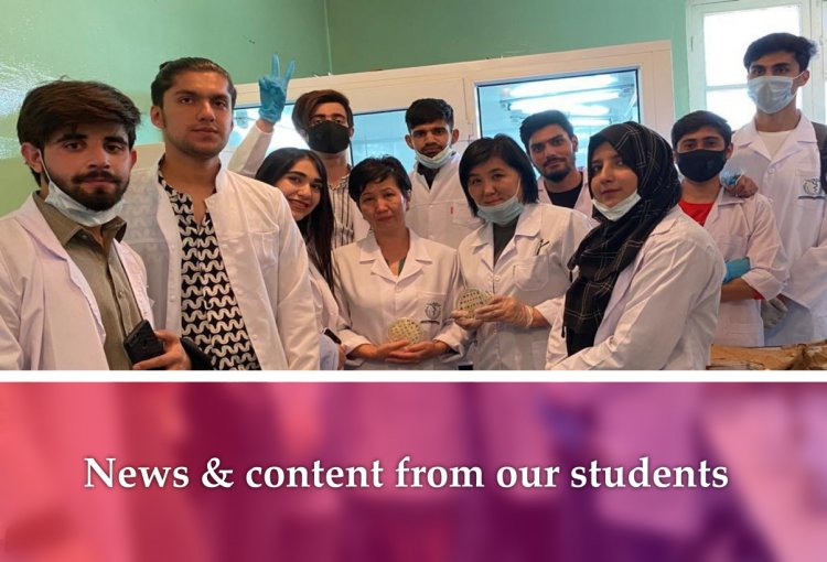 News & content from our students
