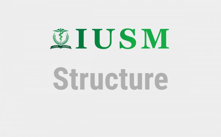 Университеттин структурасы